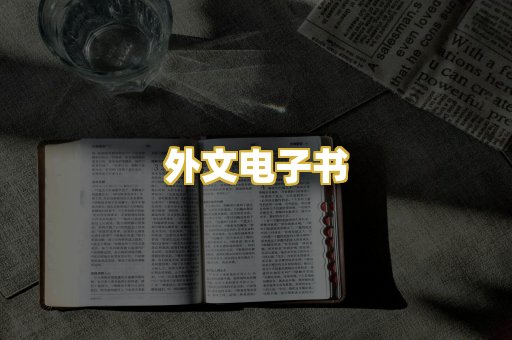 外文电子书